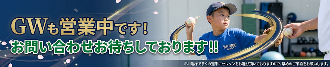 東京で野球個別指導！バッティング個別指導・ピッチング個別指導