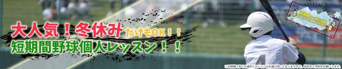 大阪で野球個人レッスン・野球個人指導・ピッチング家庭教師ならSLEZONへ